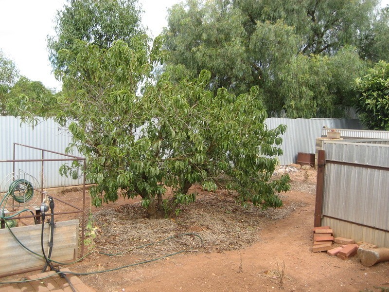 12 Laurence Street, Eudunda SA 5374