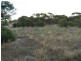 Lot 102 Main  Street, Point Pass SA 5374