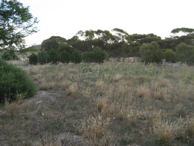 Lot 102 Main  Street, Point Pass SA 5374