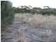 Lot 102 Main  Street, Point Pass SA 5374