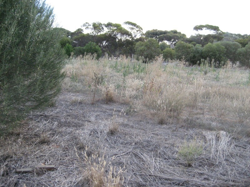 Lot 102 Main  Street, Point Pass SA 5374