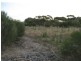 Lot 102 Main  Street, Point Pass SA 5374