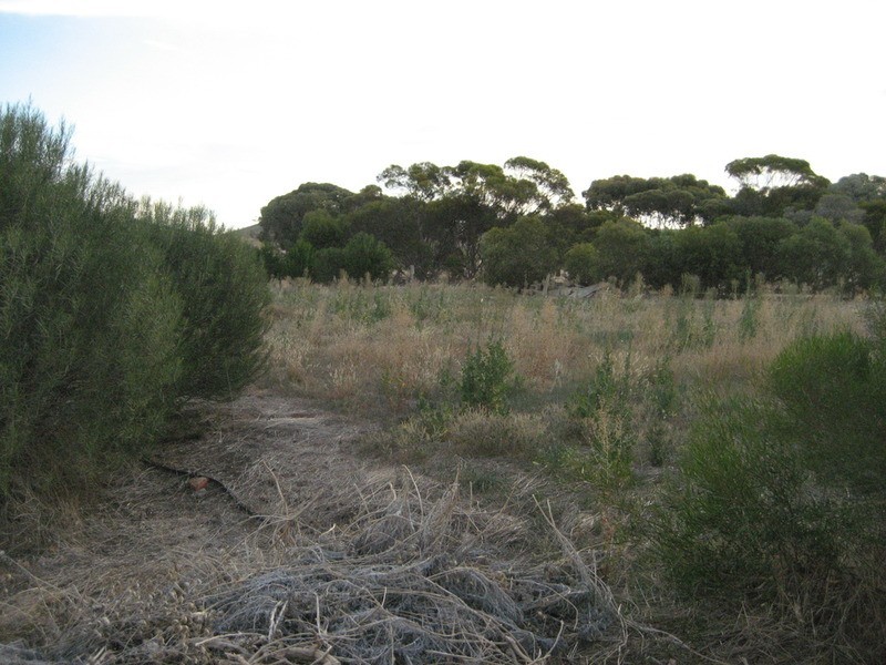 Lot 102 Main  Street, Point Pass SA 5374