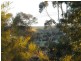 62 Weigall Street, Eudunda SA 5374