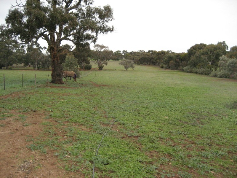 28 Hancock  Road, Kapunda SA 5373