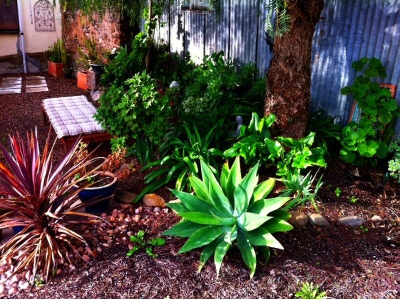 41 Maxwell Street, Kapunda SA 5373