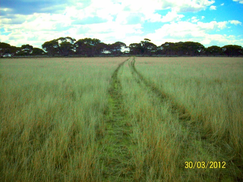 Lot 55 Mallee Road, Eudunda SA 5374