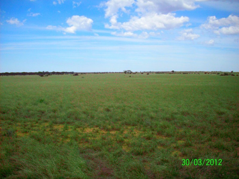 Lot 55 Mallee Road, Eudunda SA 5374