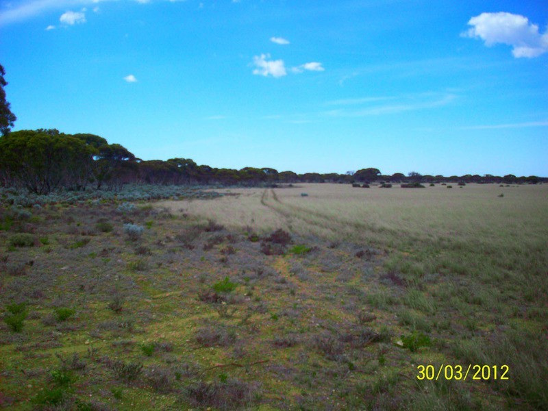Lot 55 Mallee Road, Eudunda SA 5374
