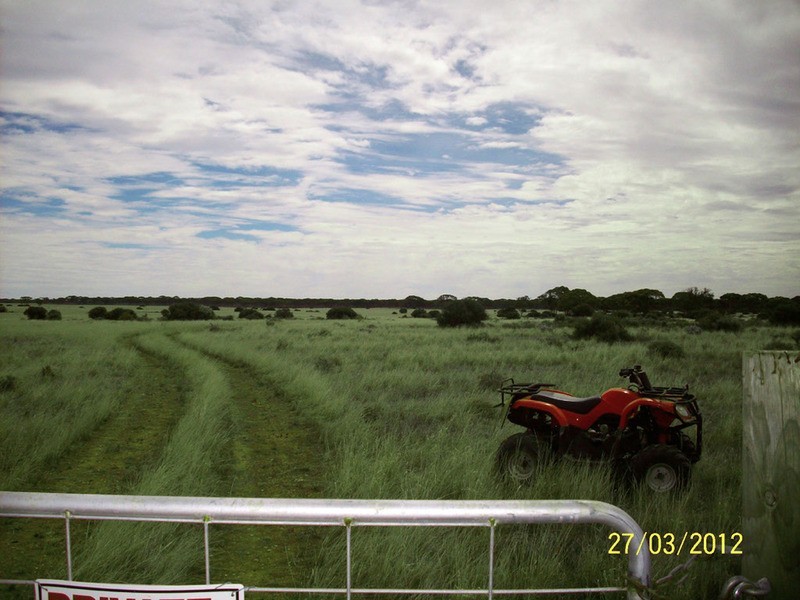 Lot 55 Mallee Road, Eudunda SA 5374
