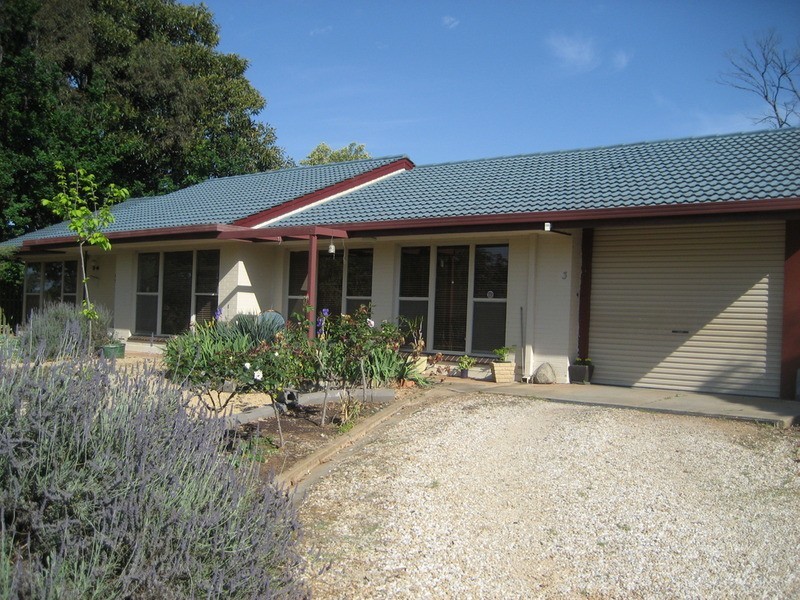 3 Waterhouse Street, Kapunda SA 5373