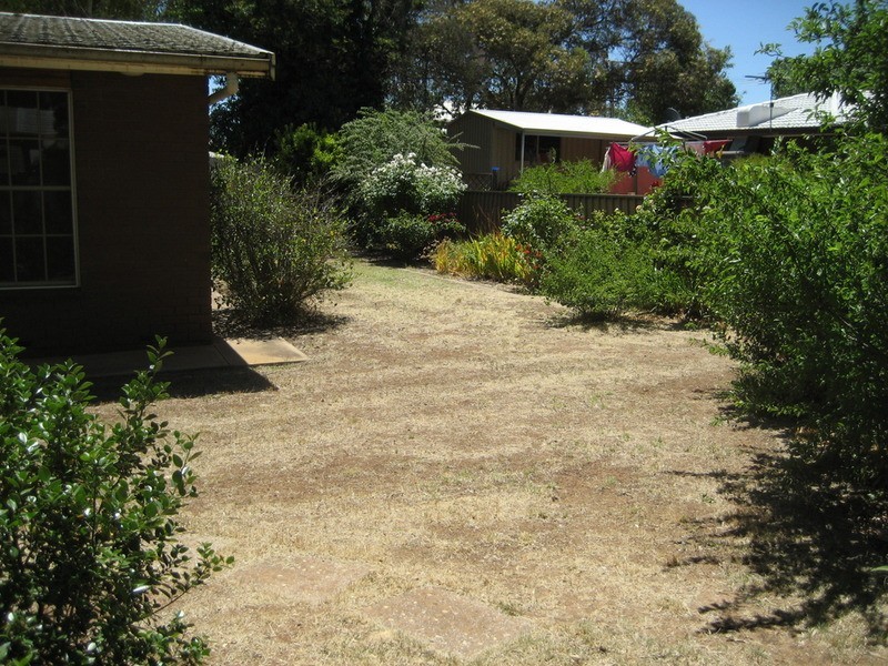 3 White  Street, Kapunda SA 5373