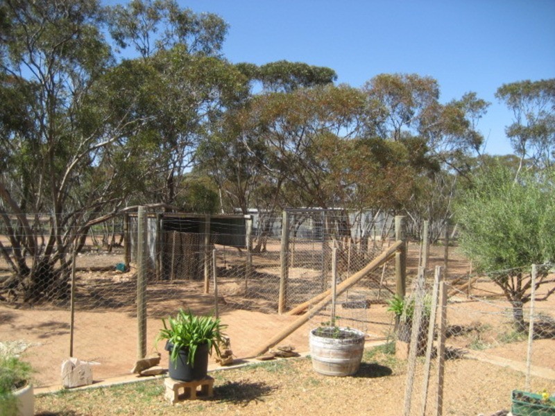 Lot 1 May Road, Bower SA 5374
