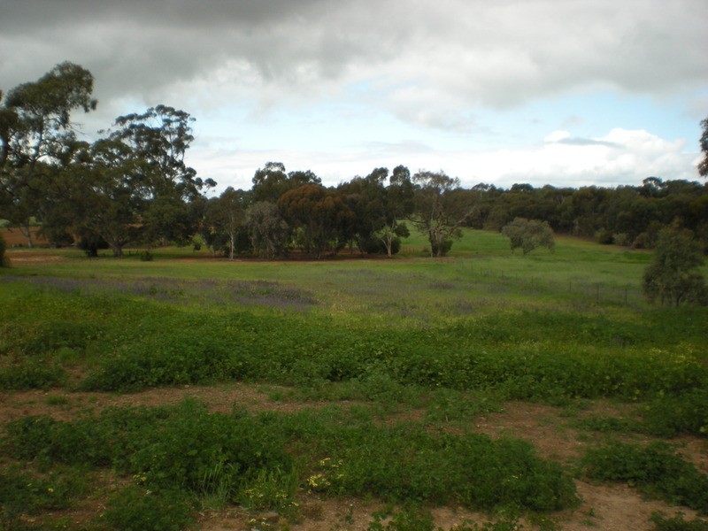28 Hancock Road, Kapunda SA 5373