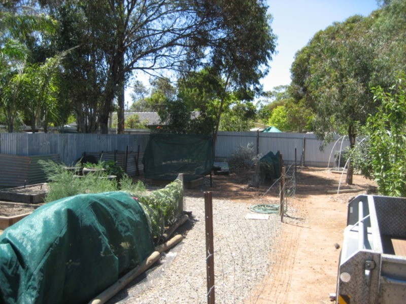 3 Fuller Street, Kapunda SA 5373