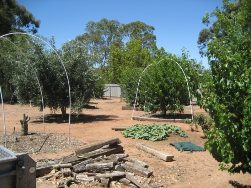 3 Fuller Street, Kapunda SA 5373