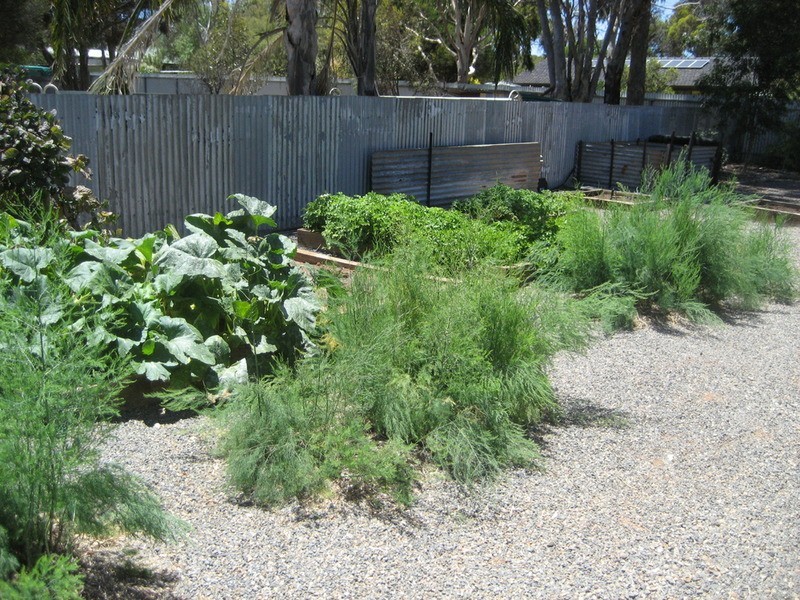 3 Fuller Street, Kapunda SA 5373