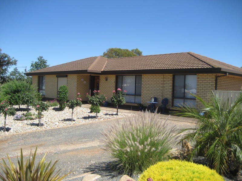 43 Commercial Road, Robertstown SA 5381