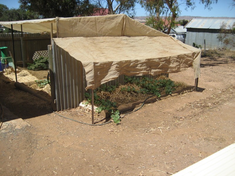 43 Commercial Road, Robertstown SA 5381