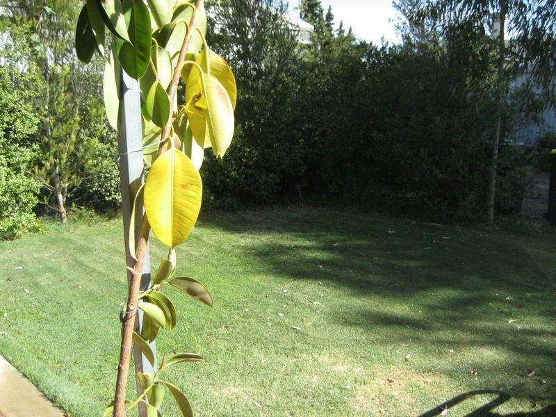 5 Jordon Street, Kapunda SA 5373