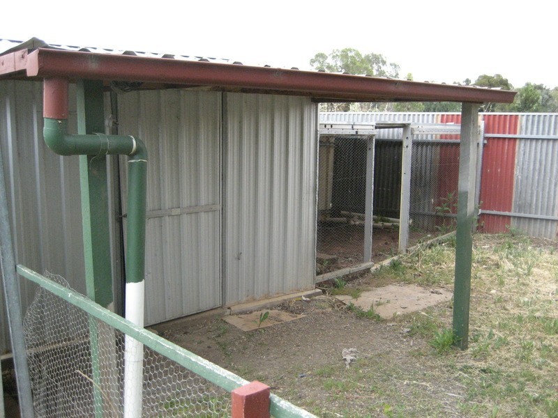 16 Nash Street, Kapunda SA 5373