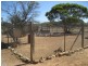 Lot 24 Sturt  Highway, Truro SA 5356