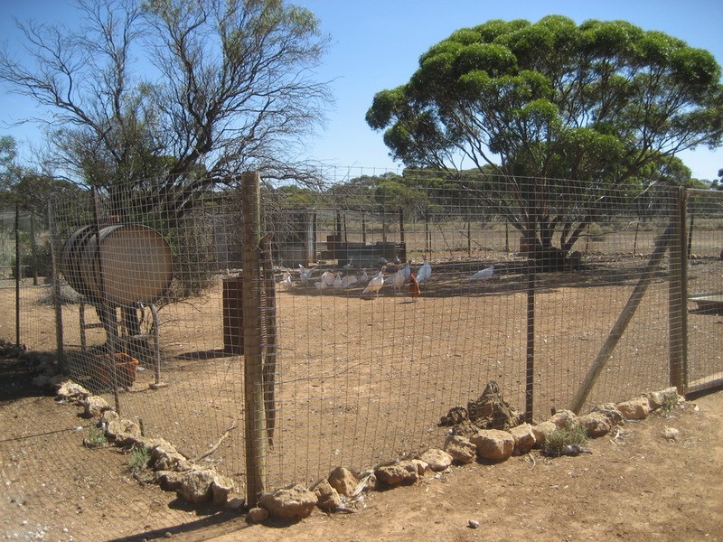 Lot 24 Sturt  Highway, Truro SA 5356