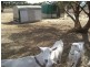 Lot 24 Sturt  Highway, Truro SA 5356