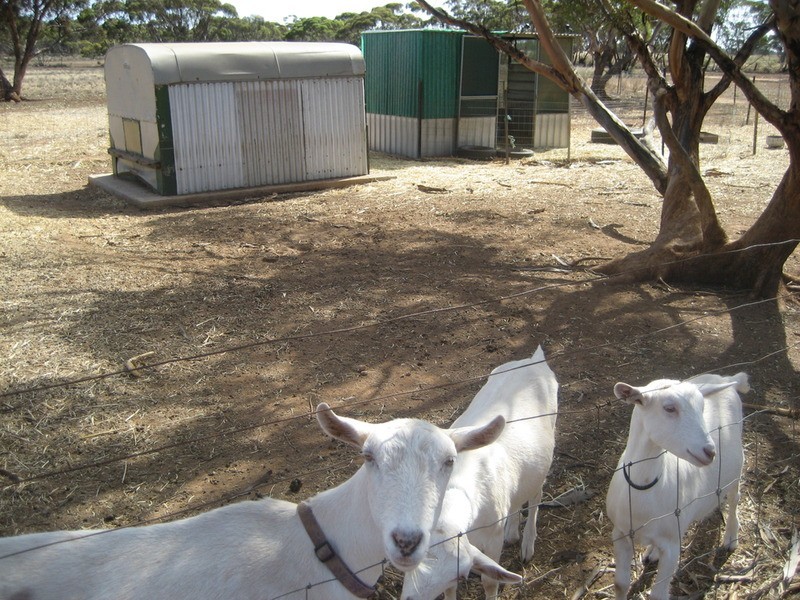 Lot 24 Sturt  Highway, Truro SA 5356