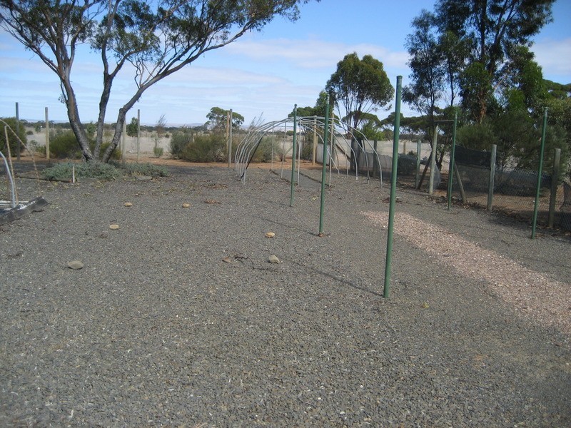 Lot 24 Sturt  Highway, Truro SA 5356