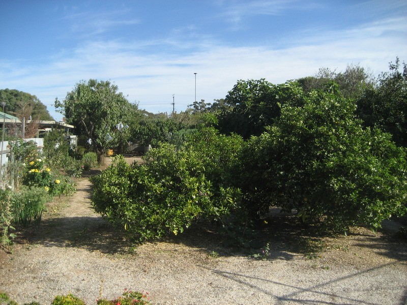 13 Robe Street, Kapunda SA 5373