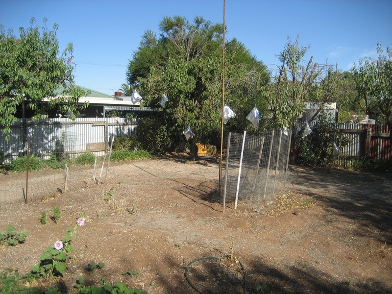 13 Robe Street, Kapunda SA 5373
