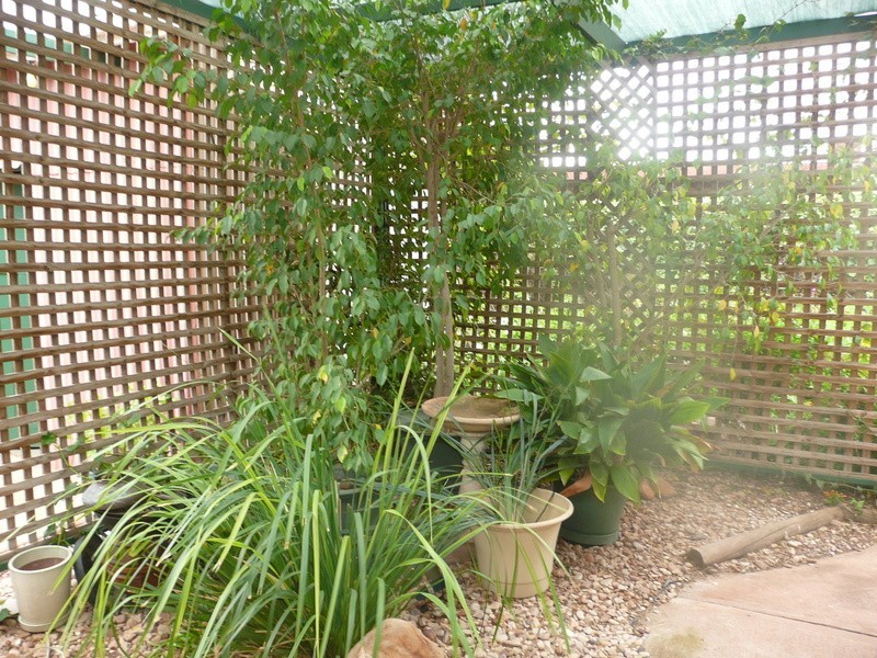 75 Ward Street, Whyalla SA 5600