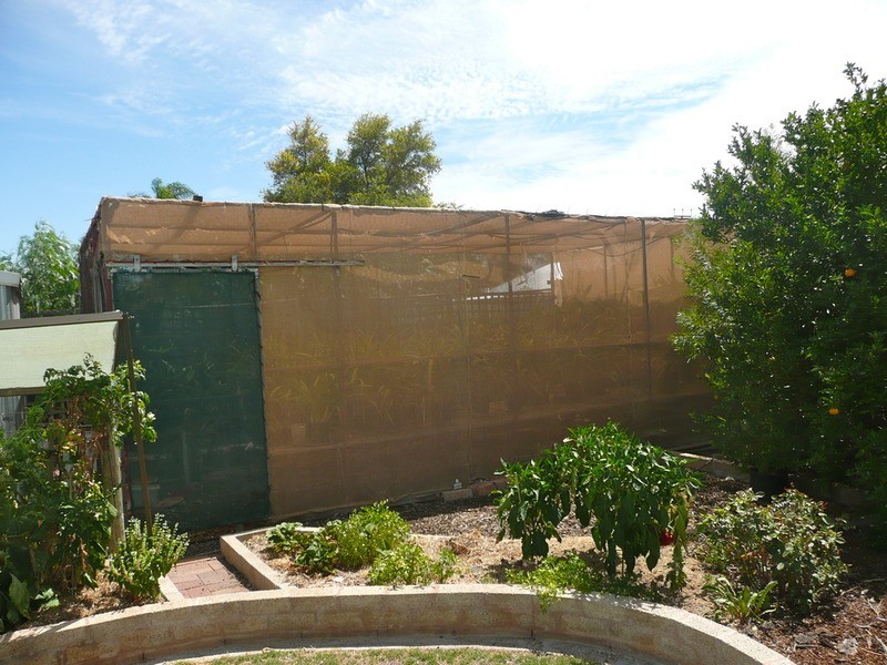 6 Long Street, Whyalla Norrie, Whyalla SA 5600