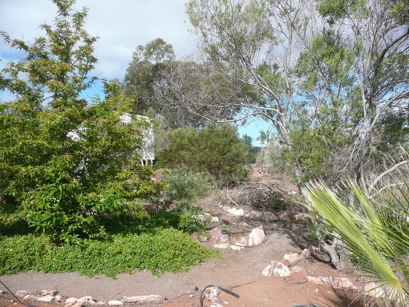 4 Ward Street, Whyalla, Whyalla SA 5600