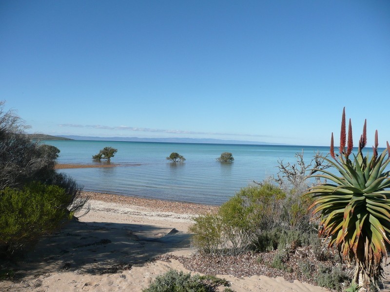 Lot 15 Fitzgerald Bay, Whyalla SA 5600