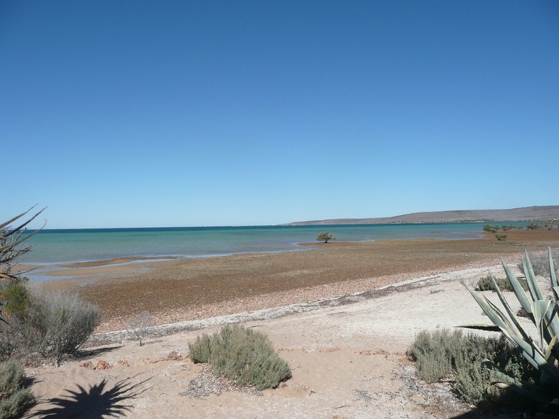 Lot 15 Fitzgerald Bay, Whyalla SA 5600