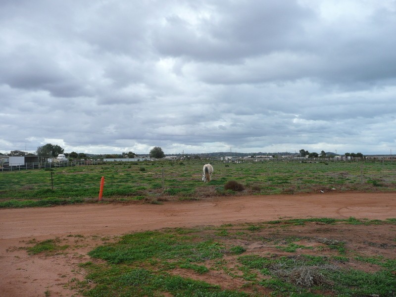 Sec 264 Landrace Road, Whyalla Norrie, Whyalla SA 5600