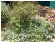 17-19 Thomas Street, Whyalla Stuart, Whyalla SA 5600