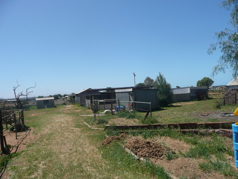 257 Landrace Road, Whyalla SA 5600