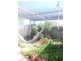 96 Ward Street, Whyalla SA 5600