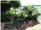 40 Roberts Terrace, Whyalla SA 5600