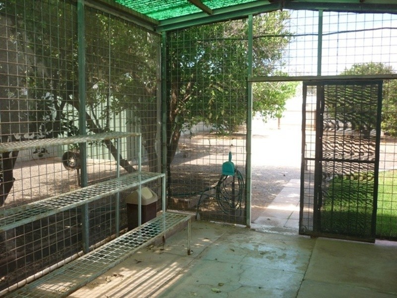 60 Peters Street, Whyalla Playford, Whyalla SA 5600