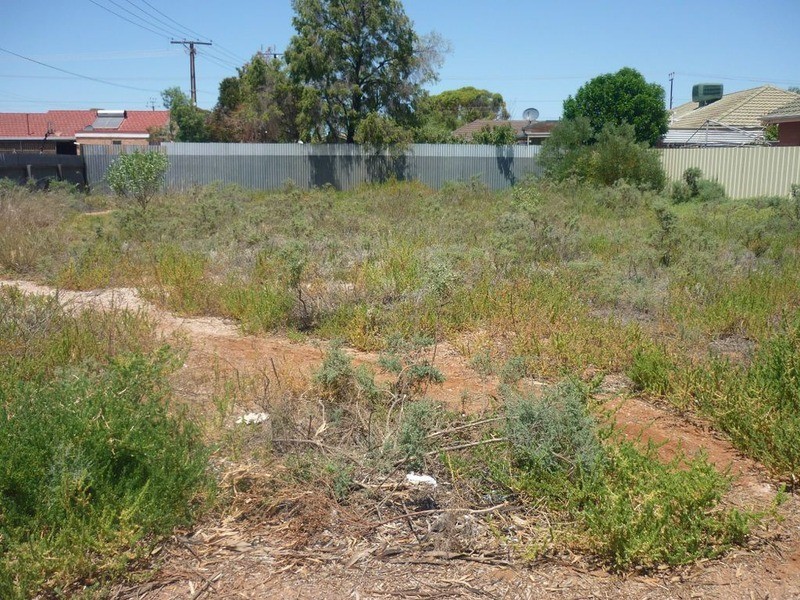 17  Flavel Street, Whyalla Norrie, Whyalla SA 5600