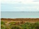 8 Eremophila Cove, Point Lowly SA 5600