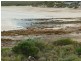 8 Eremophila Cove, Point Lowly SA 5600