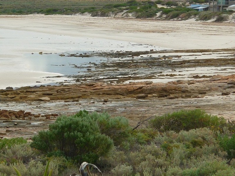 8 Eremophila Cove, Point Lowly SA 5600