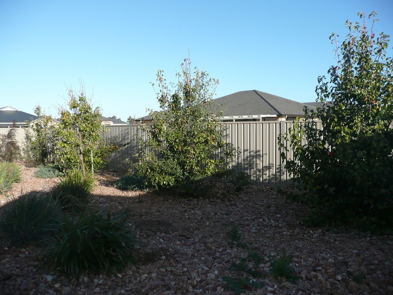 8 Risby Avenue, Whyalla Jenkins, Whyalla SA 5600