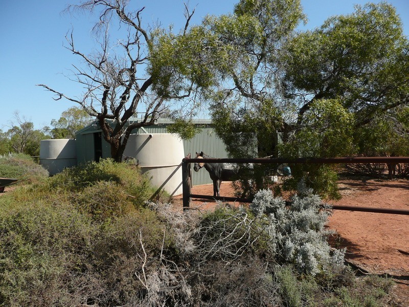 114 Hancock Road, Mullaquana, Whyalla SA 5600