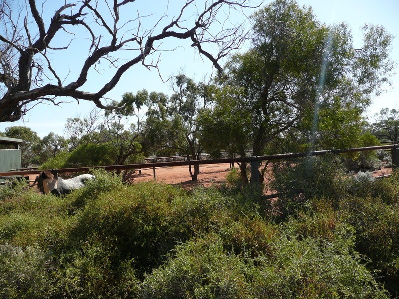 114 Hancock Road, Mullaquana, Whyalla SA 5600